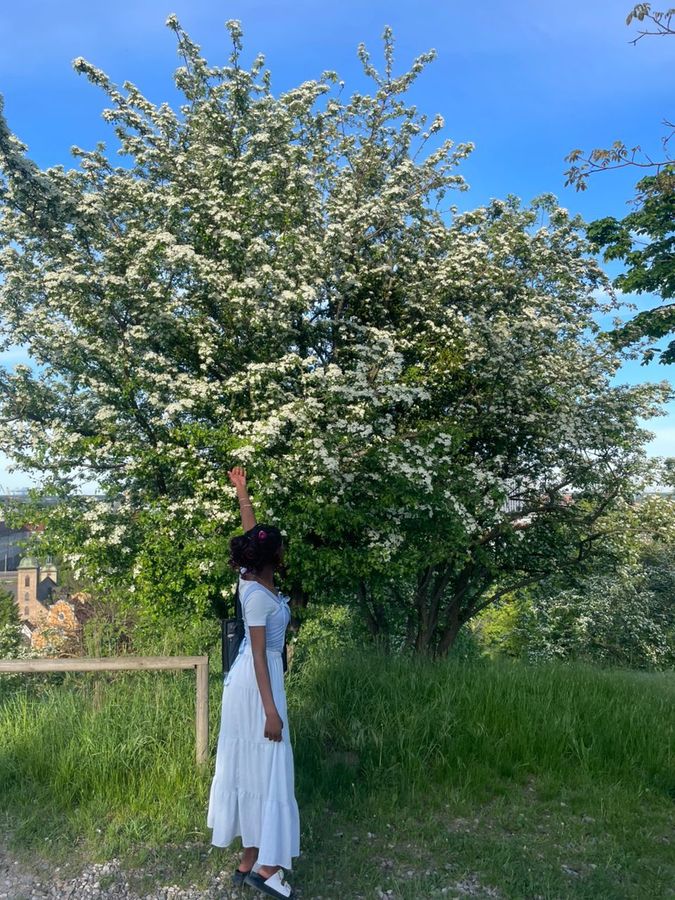 Exploring abroad